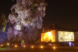 illumina_schloss_dyck