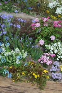 Dank der Gartenarbeit im Oktober wird der Frühjahrsgarten schön bunt!