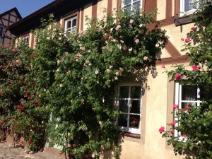 Rosen & Garten Messe Königsberg in Bayern