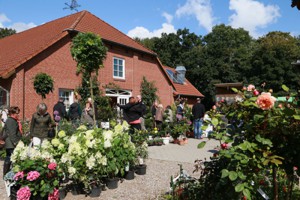 LandGeflüster Gut Steinwehr