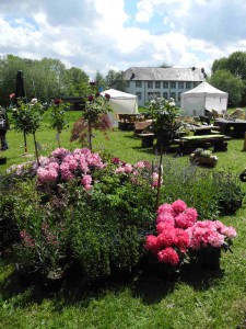 Die GartenLeben Dorenburg findet an Pfingsten statt.