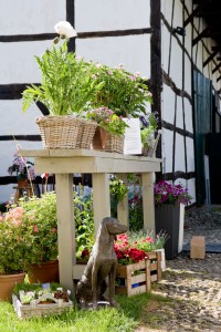 Wunderbare Gartenveranstaltungen im Sommer