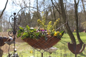 Landgeflüster Emkendorf - ein blumiges Fest!