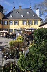 Stilblüte Schloss Lüntenbeck