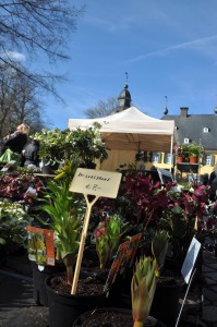 Frühlingsveranstaltung am Wochenende: Die Stilblüte Schloss Lüntenbeck