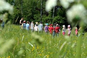 LGS 2016: Grünes Klassenzimmer in Öhringen