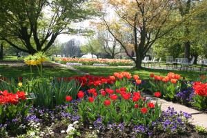 Frühlingsveranstaltung: Du und dein Garten