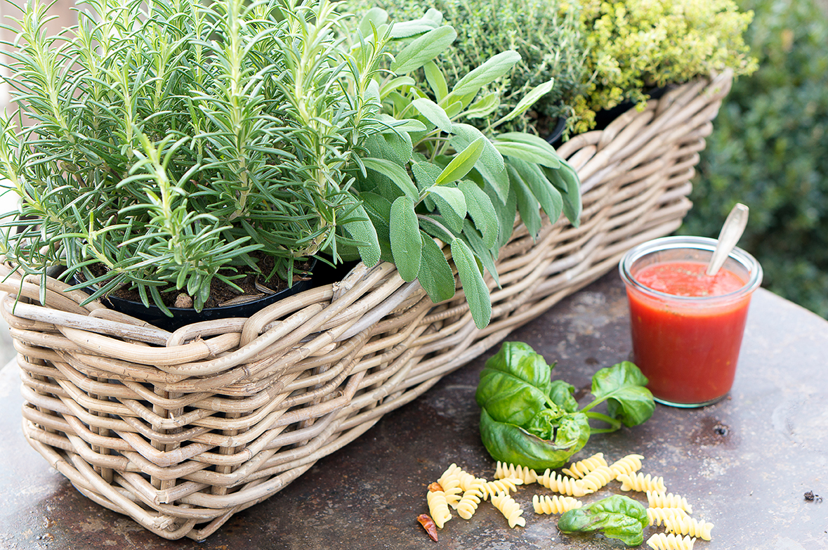 Küchenkräuter: Tomatenchutney von der Fensterbank