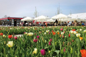 Landesgartenschau Bayreuth