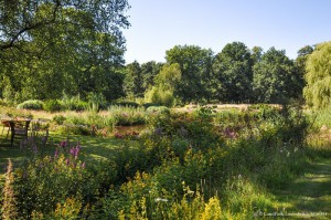 sdTraumhafte Wiesenlandschaften im LandPark Lauenbrück...