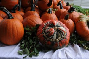 Herbstlicher Ausklang im Ippenburger Küchengarten