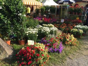 Gartenveranstaltung im Juli: Gartenzauber Wolfegg