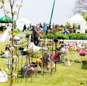 Gartenveranstaltung: Maja's Pflanzentage Hardenberg