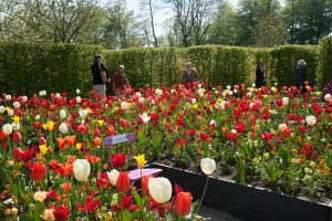 Frühlingsveranstaltung auf Schloss Ippenburg