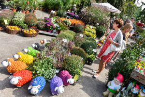 Bunt und fröhlich: Tolles Ambiente beim TAG DES GARTENS