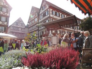 Kürbismarkt Mosbach