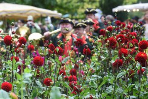 Gartenveranstaltung: Das Fürstliche Gartenfest, Schloss Wolfsgarten 