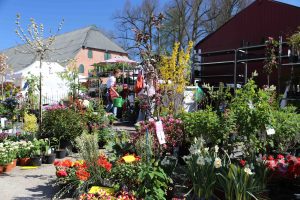 Bunte Blumenwelt bei der Gartenveranstaltung