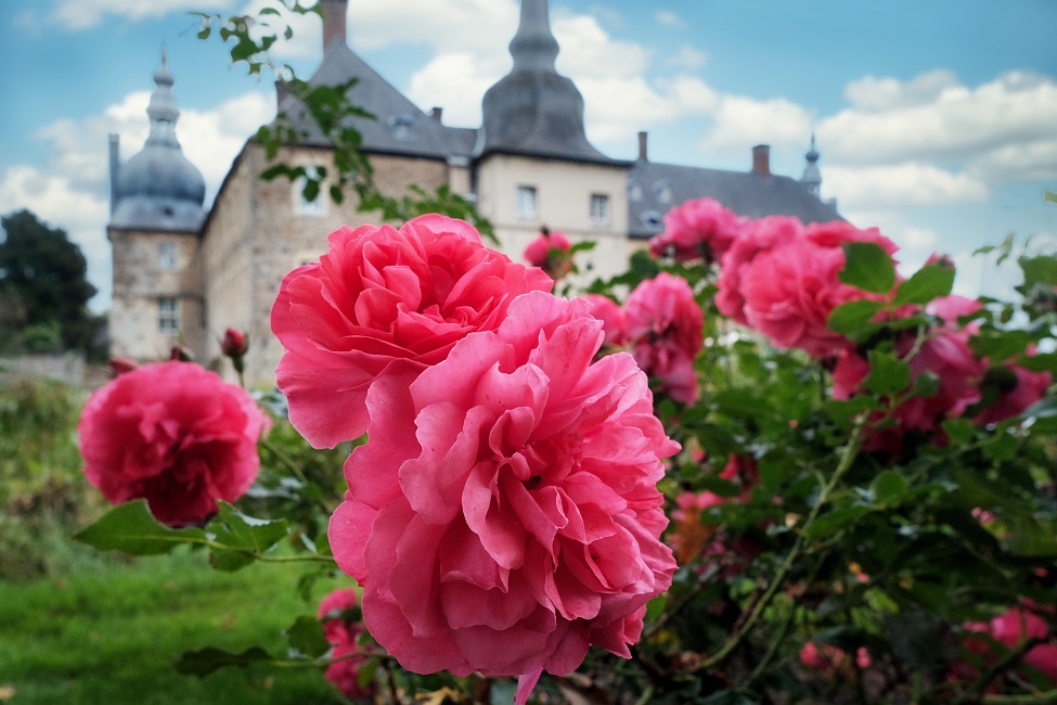 Indian Summer im Schloss Lembeck Gartenmessen