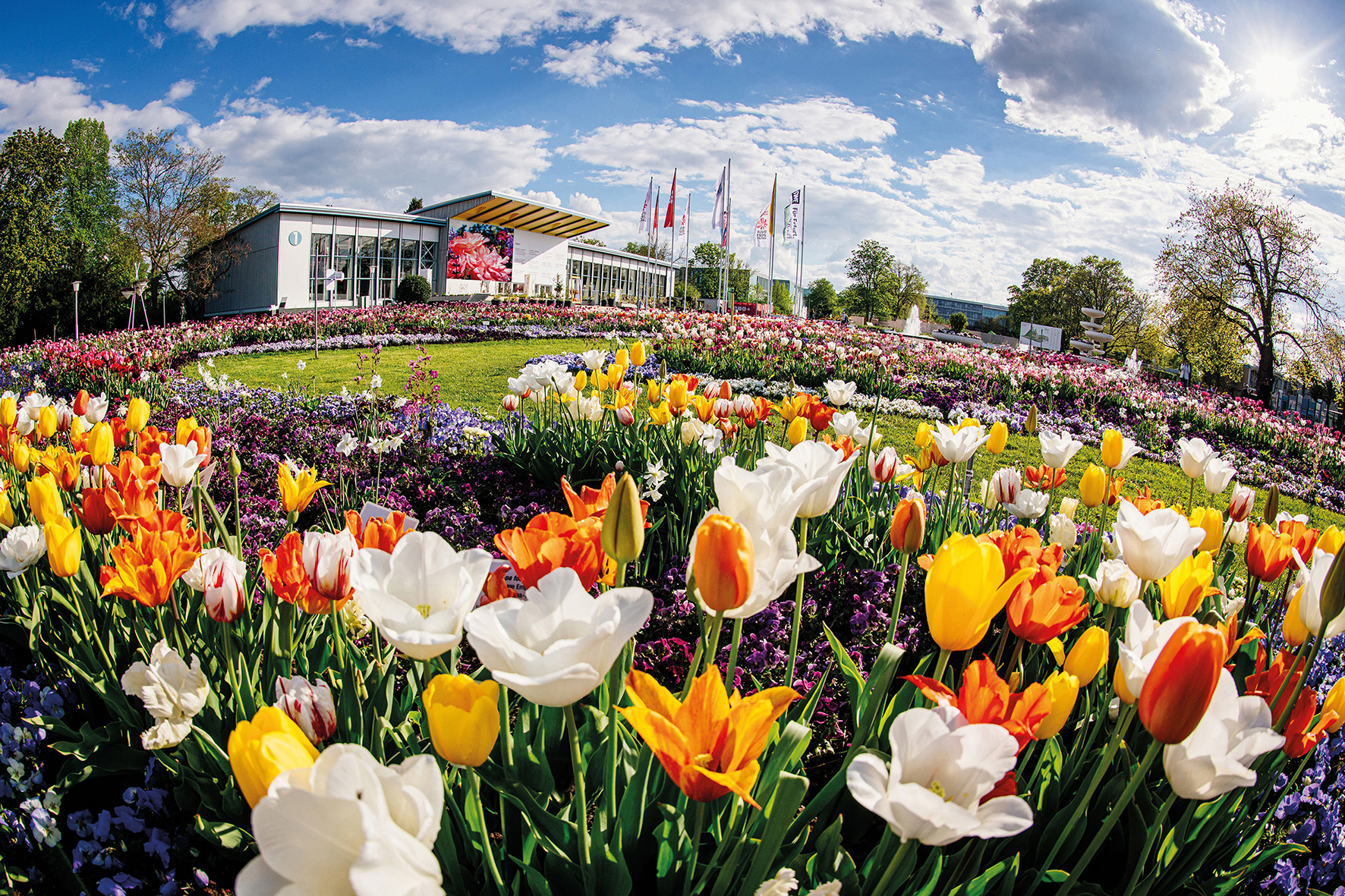 46+ Erfurt Gartenanlage Zum Sonnenblick, Sonnenblick ist eine