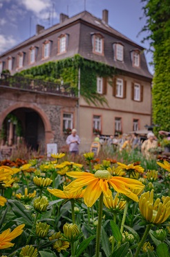 Das Gartenfest Laubach Gartenmessen